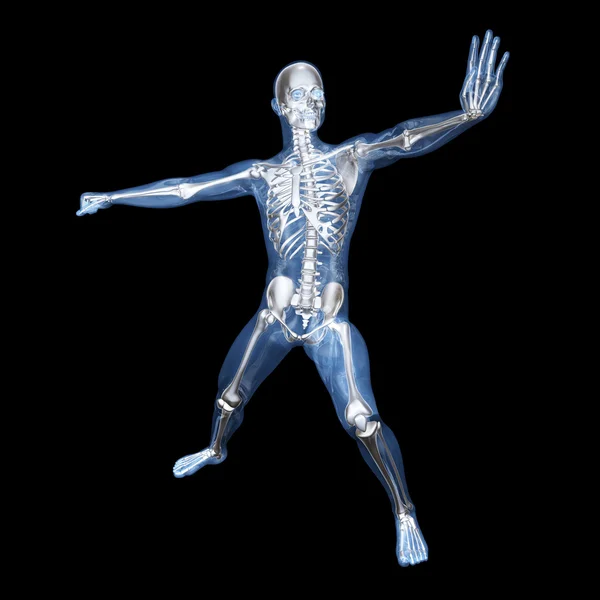Anatomia - sztuki walki — Zdjęcie stockowe