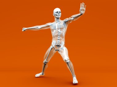 Anatomy - Martial Arts clipart