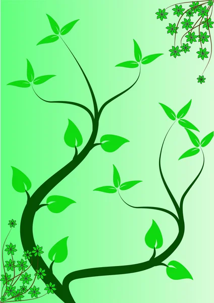 抽象的绿色花卉背景 — 图库矢量图片