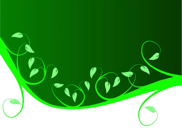 Zöld és fehér virágos háttér — Stock Vector