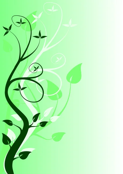 绿色花卉背景 — 图库矢量图片