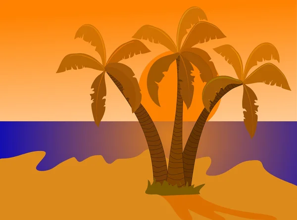 Острів пустелі на ілюстрації заходу сонця — стоковий вектор