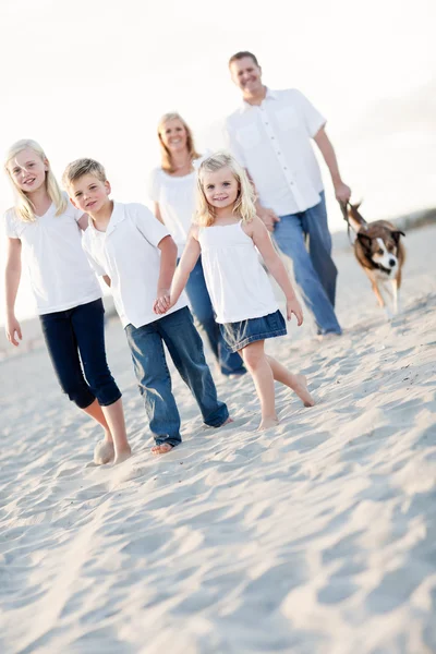 Bedårande liten flicka leder sin familj på en promenad — Stockfoto