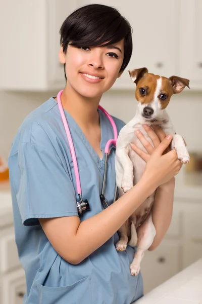 Glimlachend aantrekkelijke gemengd ras dierenarts arts of verpleegkundige met — Stockfoto