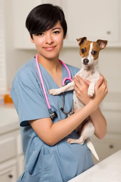 Uśmiechający się atrakcyjny mieszane rasy weterynarz lekarz lub pielęgniarka z — Zdjęcie stockowe