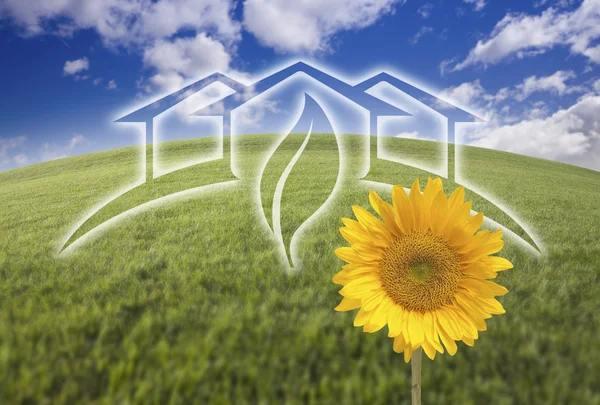 Sunflower, Green House Ghosted Over Fresh Grass and Sky — Stock Photo, Image