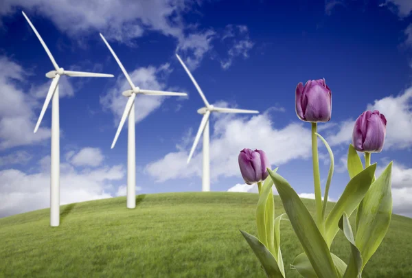风力涡轮机对戏剧性的天空、 云彩和紫罗兰 — 图库照片