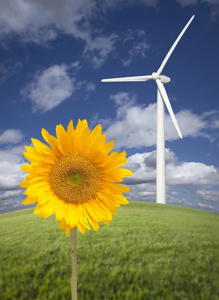 Turbina de vento contra céu dramático com girassol brilhante — Fotografia de Stock