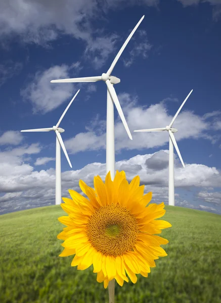 Ветряные турбины против драматического неба с ярким подсолнухом — стоковое фото