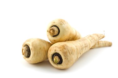 Parsnips clipart