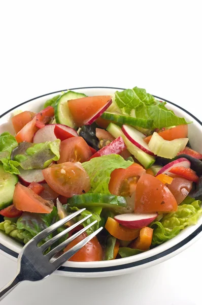Kerti saláta Stock Kép