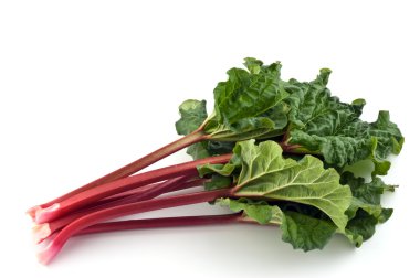 Rhubarb bunch isolated clipart