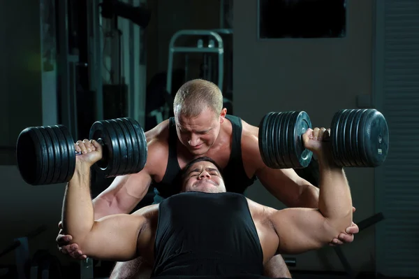 Zwei Bodybuilder trainieren im Fitnessstudio Stockbild