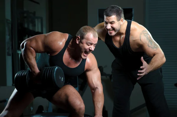 Zwei Bodybuilder trainieren im Fitnessstudio Stockbild