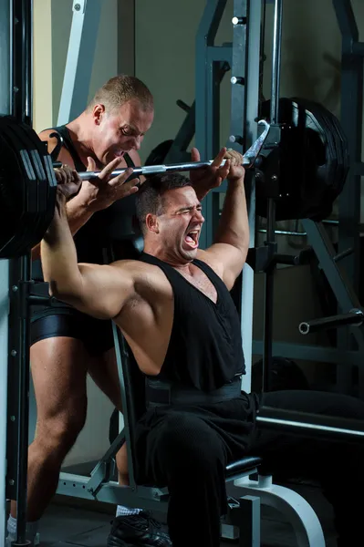 Bodybuilder trainieren im Fitnessstudio lizenzfreie Stockfotos