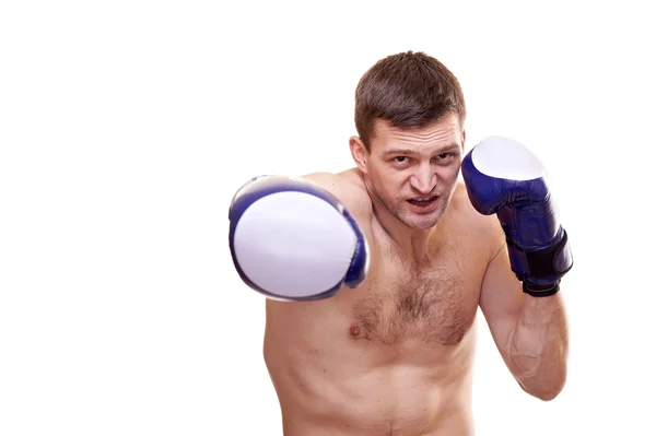 Portrét kick boxer — Stock fotografie