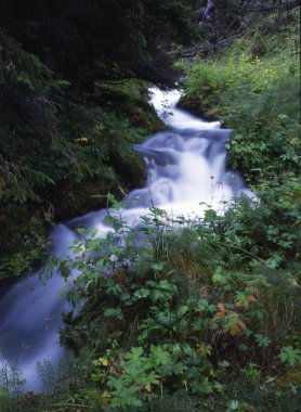 Flowing water of mountain stream clipart