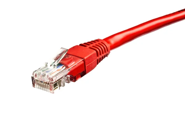 Plugue de rede vermelho isolado no branco — Fotografia de Stock