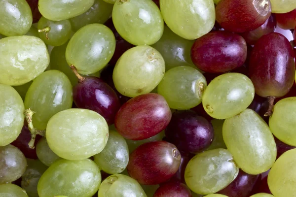Tło zielone i czerwone winogrona — Zdjęcie stockowe