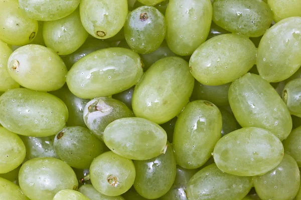 Frische grüne Trauben Hintergrund — Stockfoto