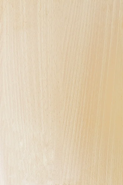 Texture of wood background closeup — Stock Photo, Image