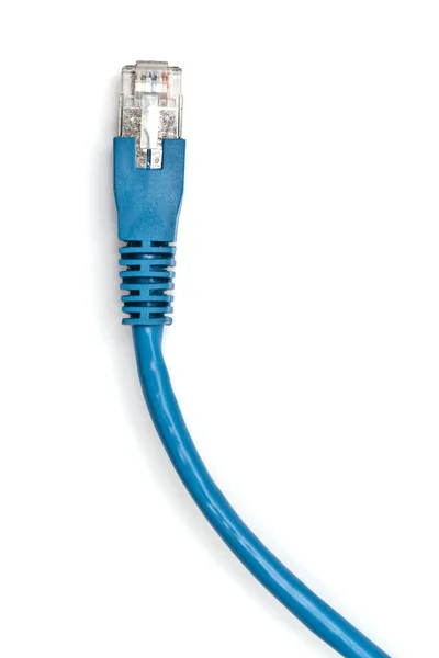 Синій мережевий кабель на білому — стокове фото