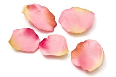 Scattered flower petals isolated on white clipart