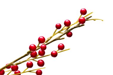 Red holly berries isolated on white clipart