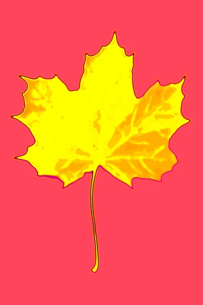 Maple leaf isolated on red — Stock Photo, Image