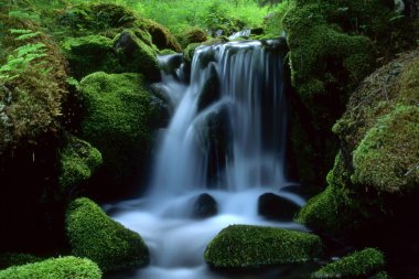 Beautiful landscape of flowing water clipart
