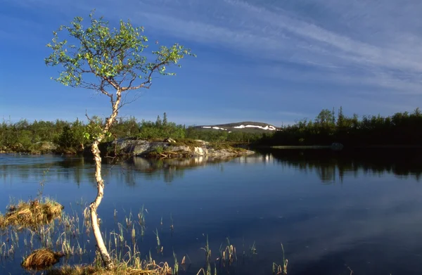 Schöne landschaft des ruhigen sees in schweden — Stockfoto