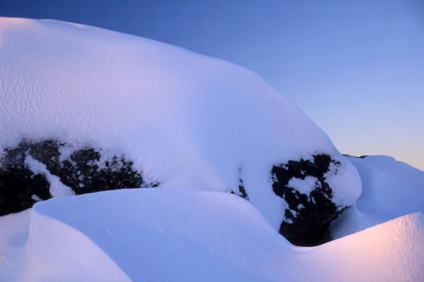 Bílý sníh a modrá obloha — Stock fotografie
