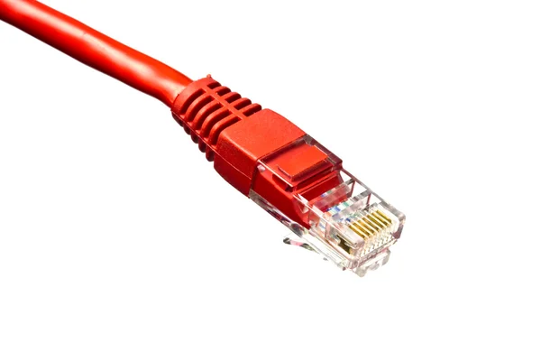 Rode netwerk plug op wit — Stockfoto