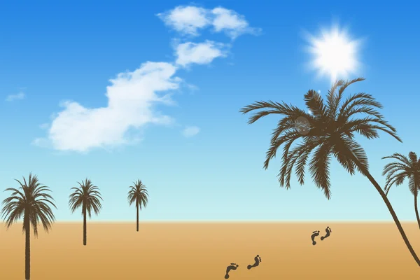 Tropical Beach Palm Trees Sunshine Blue Sky — Stock Photo, Image