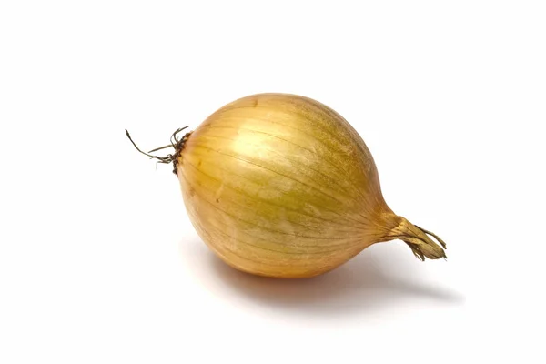 Onion closeup — Stock Photo, Image