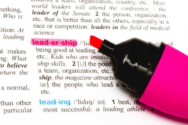 word liderlik