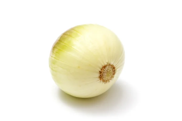Onion Isolated White Background — Stock Photo, Image