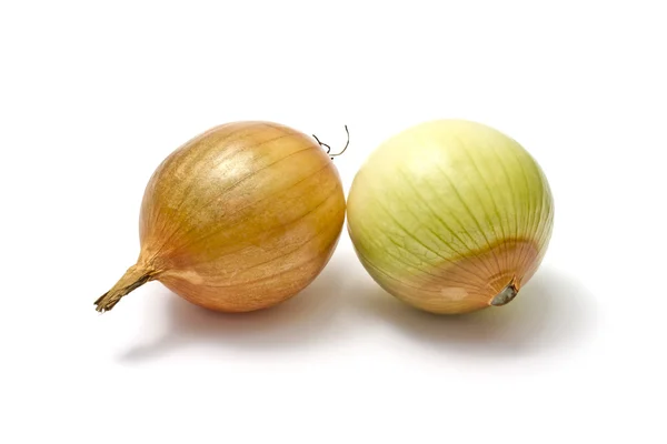 Onions closeup — Stock Photo, Image