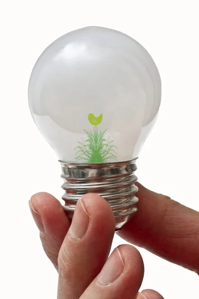 Eco Glühbirne Isoliert Auf Weißem Hintergrund — Stockfoto
