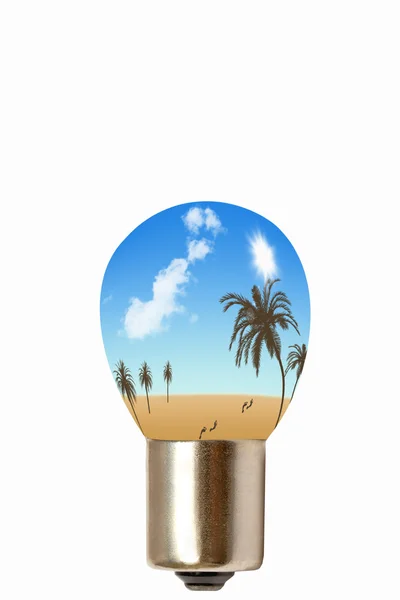 Landscape and light bulb — Stock Photo, Image