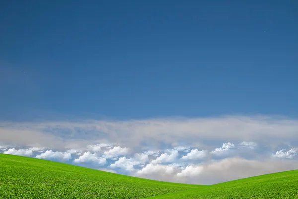 Landskap av fältet och sky — Stockfoto