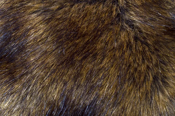 オオヤマネコの毛皮のクローズ アップの背景 — ストック写真