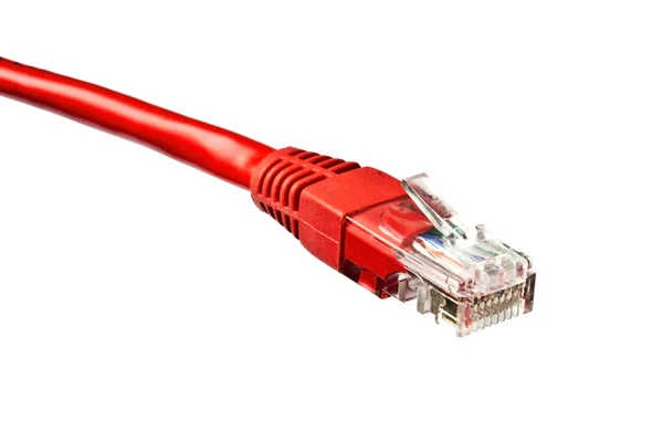 白で隔離される赤いネットワークのプラグ — ストック写真