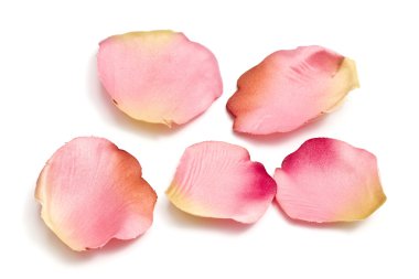 Scattered flower petals isolated on white clipart