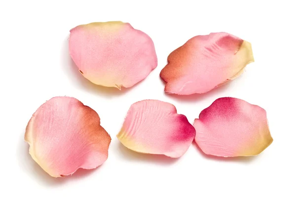 Scattered flower petals isolated on white
