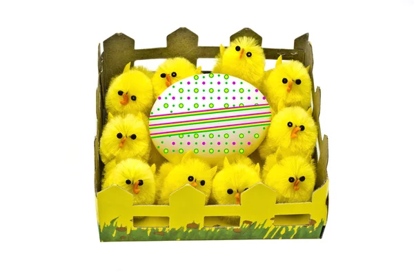 Yellow chickens and easter egg — Stock Photo, Image