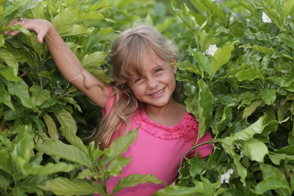 Girl in the bushes — Stock Photo, Image