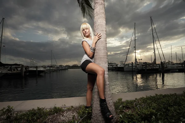 Mulher posando por uma palmeira — Fotografia de Stock