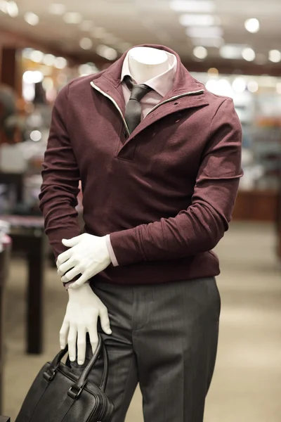 stock image Male mannequin