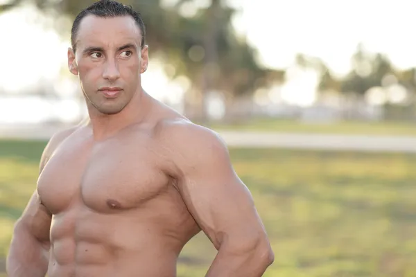 Shirtless bodybuilder in the park — Stock Photo, Image